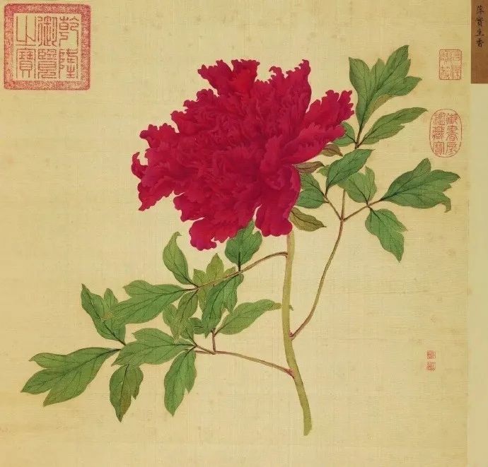 女神節之眾創國際的美麗傳說~(圖1)
